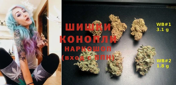 дмт Гусь-Хрустальный