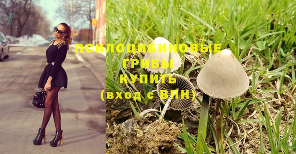марки nbome Апатиты