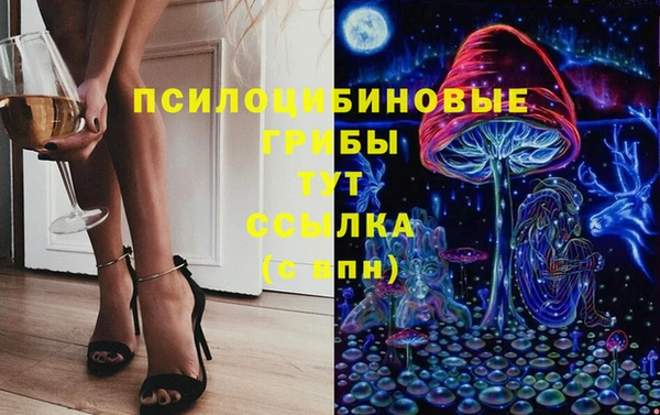 дмт Гусь-Хрустальный