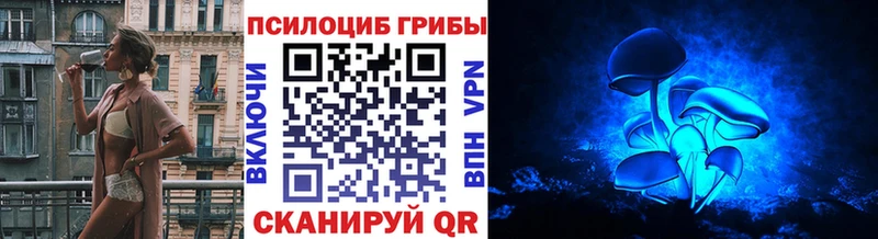 мориарти клад  Бронницы  Псилоцибиновые грибы MAGIC MUSHROOMS 